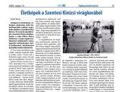 A hét legnépszerűbb cikke|44…