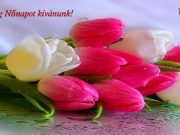 Kinyílott nők napjára…