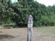 „Egy nép a történelmi ismerete, származása és kultúrája nélkül olyan, mint egy …