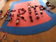 Kiscsoportokban kezdik újra az edzést a Veritasnál…