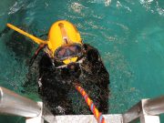 Sisakos búvár tanfolyam Szlovák vendégekkel…