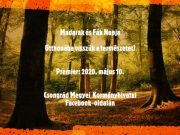 Rendhagyó módon ünnepli a Madarak és Fák napját a Csongrád Megyei Kormányhivatal…