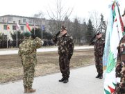 Külszolgálatra fel!…