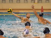 Pellei Frank: nincs mese, nyerni kell a KSI ellen…