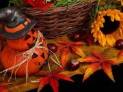 Kedves olvasóink! Mindenkinek jó pihenés kívánunk a hét végére!…