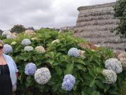 Olyanok vagyunk, mint a boxokban álló versenylovak