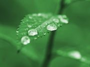 Ma esti előadásunk témája : „Kincsünk az édesvíz”…