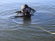 Jég alá merültek volna…