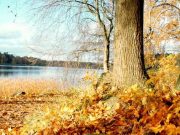 Kertek alatt az ősz! A könyvtár jobbnál jobb programokkal vár mindenkit!…