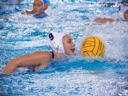 Képgaléria a Dunaújváros elleni mérkőzésünkről….