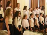 Balázs Árpád – Bodzavirág…