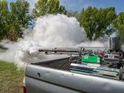 TÁJÉKOZTATÓ FÖLDI SZÚNYOGGYÉRÍTÉSRŐL…