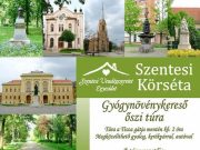 Gyógynövénykereső őszi túra…