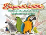 A Szentesi Művelődési Központ idén is megrendezi a már hagyományos szeptemberi …