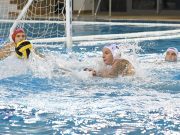 Metalcom Szentes: négy meccsünket elhalasztottuk…