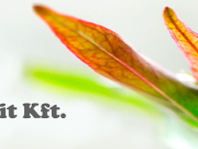 SZÜNETEL A SZEMÉLYES ÜGYFÉLFOGADÁS…