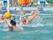 BENU Férfi Magyar Kupa: sorsoltak a nyolcaddöntőre…