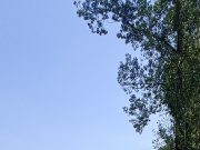 Két érem és pontszerző hely a Strandbirkózó Országos bajnokságról…