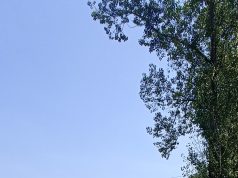 Két érem és pontszerző hely a Strandbirkózó Országos bajnokságról…