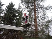 Gallyazzák a fákat…