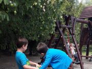 Billenőkorong az egyensúlyérzék fejlesztéséért…