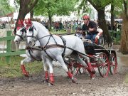 Közzétette: Vidovics Ferenc…