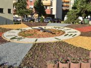 Elindult a virágóra…