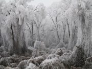 Szentesi fotó lett a nap képe…