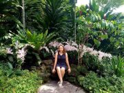 Szentesről Szingapúrba…