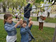 Tojásfák Szentesen…