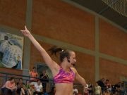 Immár 9. alkalommal rendezték meg a Valdor Nippon Zengo program Giga Fesztiváljá…