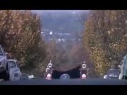 #Pink_Floyd.
#The_Wall_Movie_1982.
#Waiting_For_the_Worms.