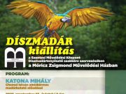 A Szentesi Művelődési Központ Díszmadártenyésztő szakköre szeretettel meghívja Ö…