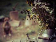 Jó reggelt, minden korán ébredőnek!…