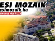 Rotary Nőnap – Hölgyek Ünnepe