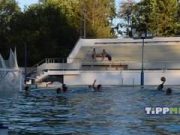 Péntektől szombatig Szentesen folytatódik a Magyar Kupa második csoportköre! A …