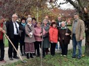 Emlékfát ültetett a baráti kör…