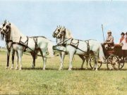 Aki együtt pálinkázott Fülöp herceggel…