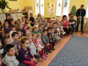 Pálmás ajándék ünnepek előtt…