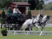 Egy feledhetetlen világbajnokság…