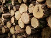 INDUL A HATÓSÁGI ÁRAS TŰZIFAPROGRAM…