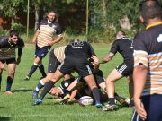 Vadkanok után a Kosok következnek…