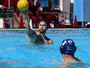 Szegeden játszunk a magyar kupában! Az A csoportba kerültünk a Debrecennel, az O…