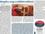 A hét legnépszerűbb cikke III….