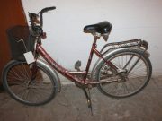 Még nincs gazdájuk! (Ossza meg a hírt szentesi ismerősei között!)…