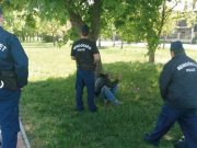 Elfogták a szatírt, kiadták a vörös kódot…