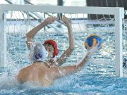 Kedves szülők és gyerekek! A nyári bajnokságokra való felkészülésben és az edzőm…