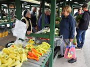 Parkolásról, piacokról…