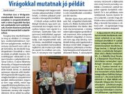 A hét legnépszerűbb cikke I….