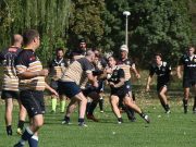 Legyőzték a Medvéket…